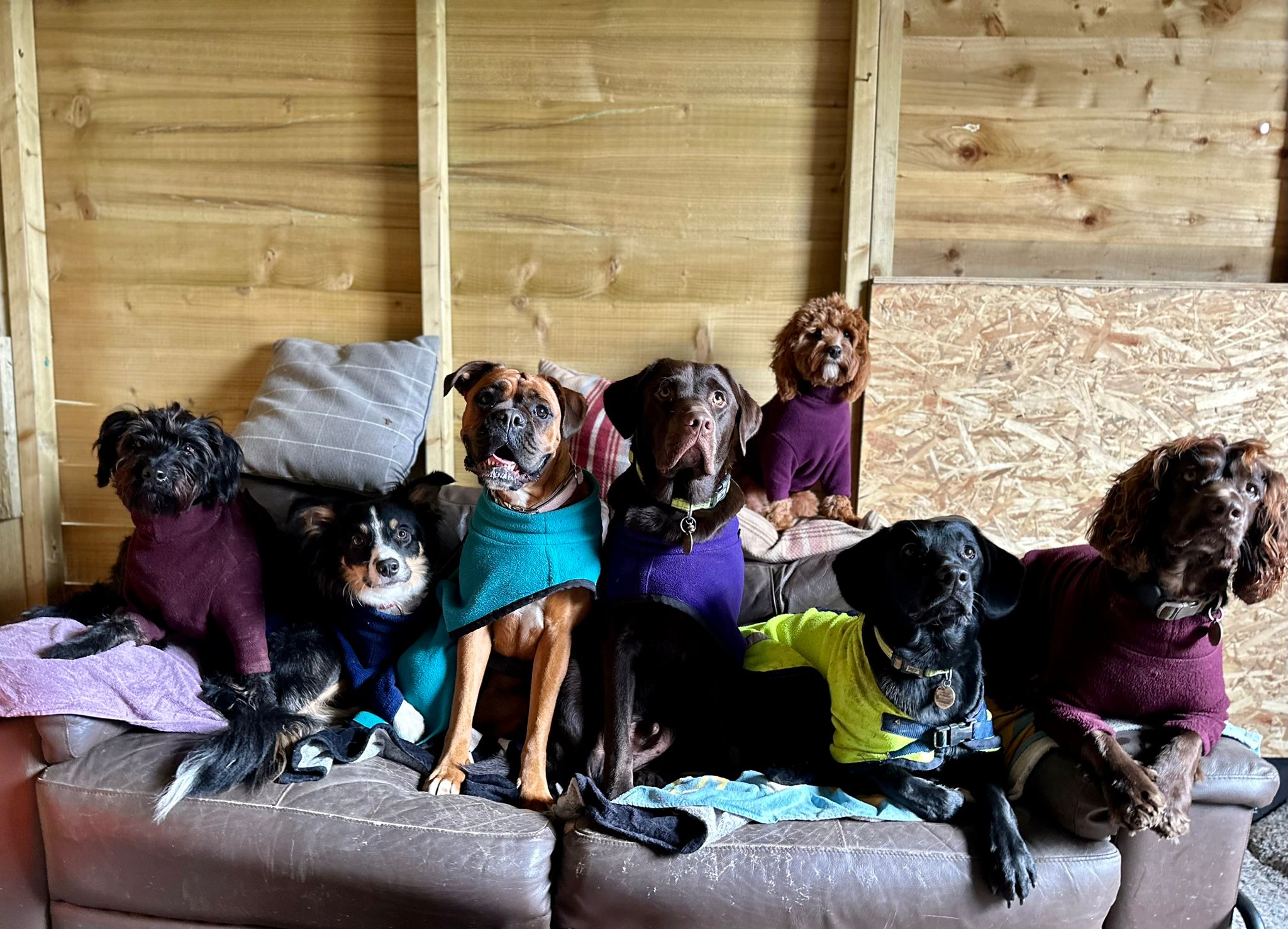 Get in touch Country Paws Doggy Day Care